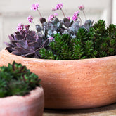 Photo of Campania Annalise Planter - Terra Nova - Set of 2 - Marquis Gardens